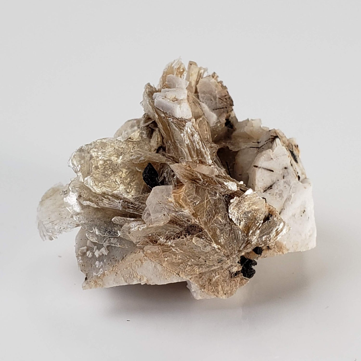  Polylithionite and Aegirine Crystal Cluster | 8.97 grams | Poudrette Quarry, Mont-Saint-Hilaire, Canada 