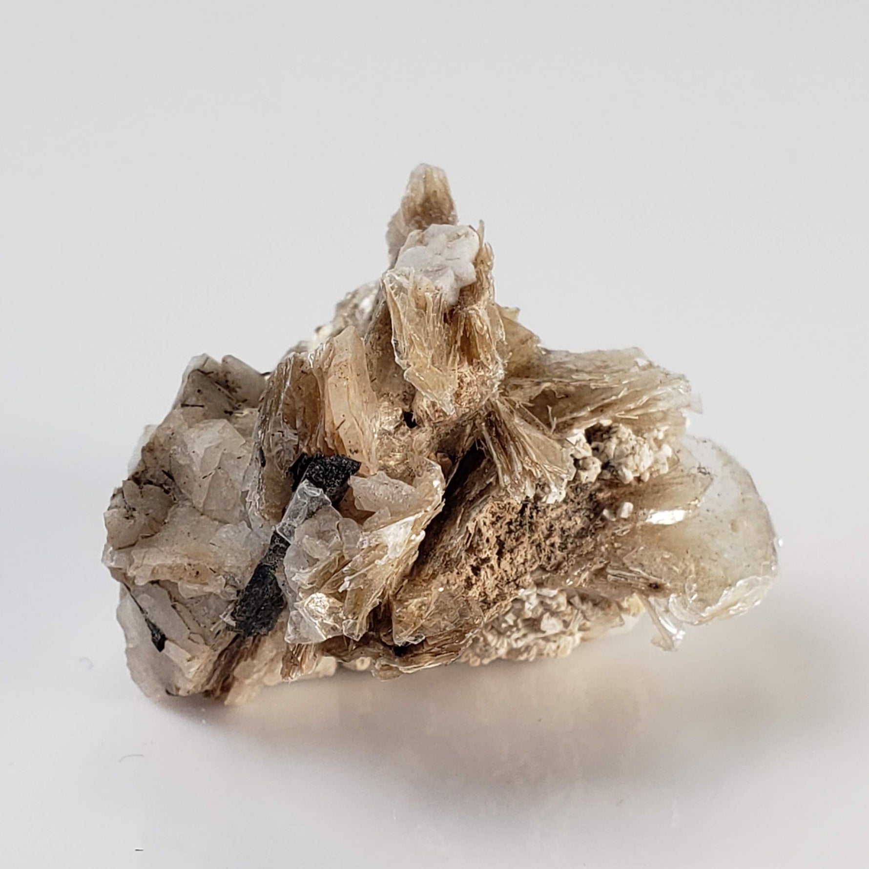  Polylithionite and Aegirine Crystal Cluster | 8.97 grams | Poudrette Quarry, Mont-Saint-Hilaire, Canada 1