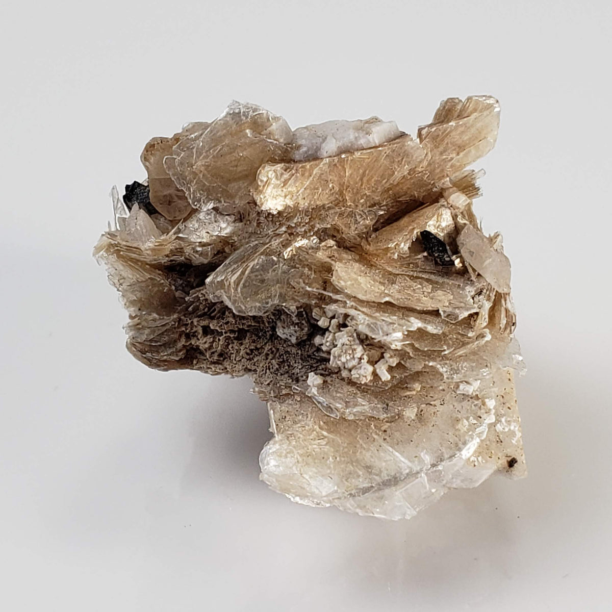  Polylithionite and Aegirine Crystal Cluster | 8.97 grams | Poudrette Quarry, Mont-Saint-Hilaire, Canada 2