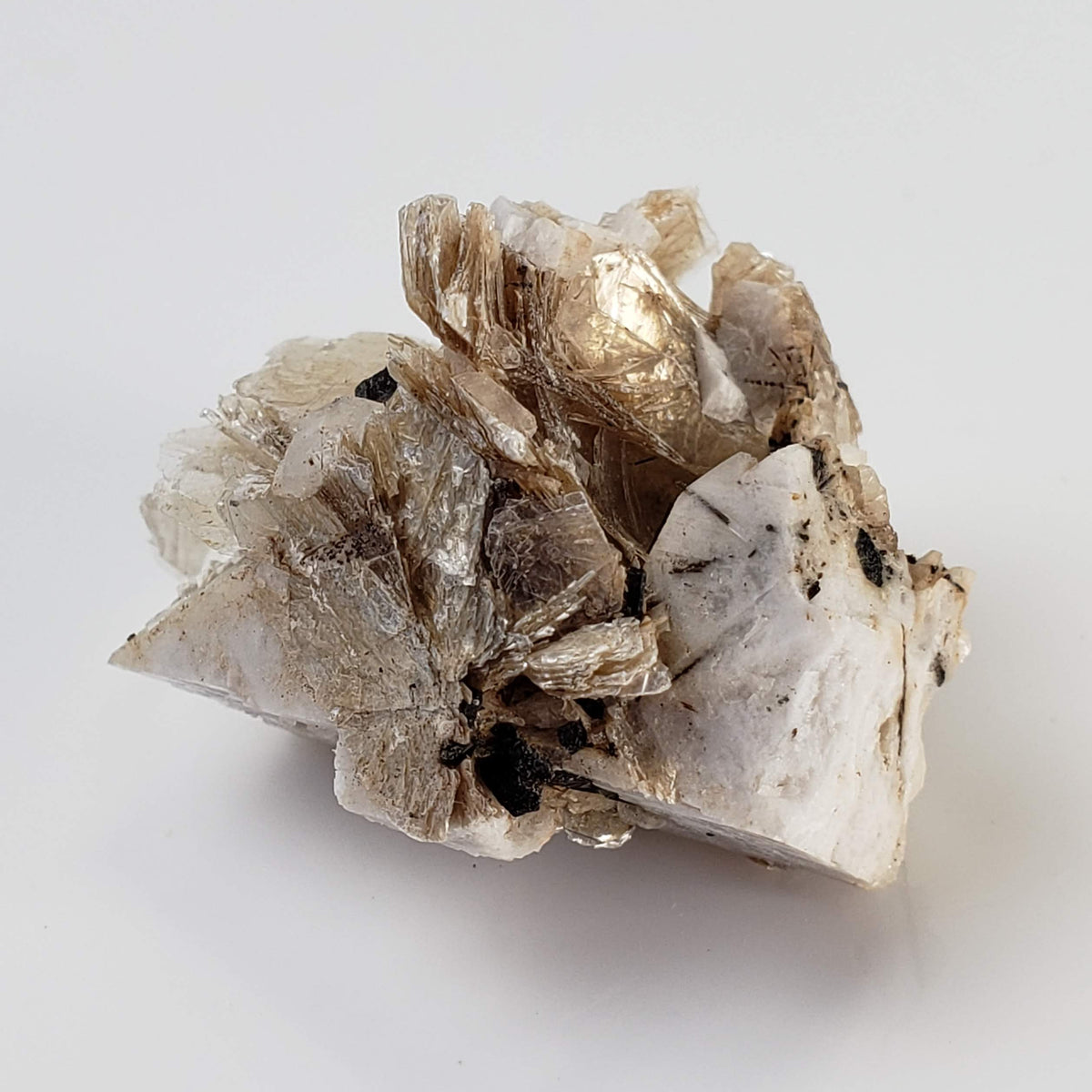  Polylithionite and Aegirine Crystal Cluster | 8.97 grams | Poudrette Quarry, Mont-Saint-Hilaire, Canada 5