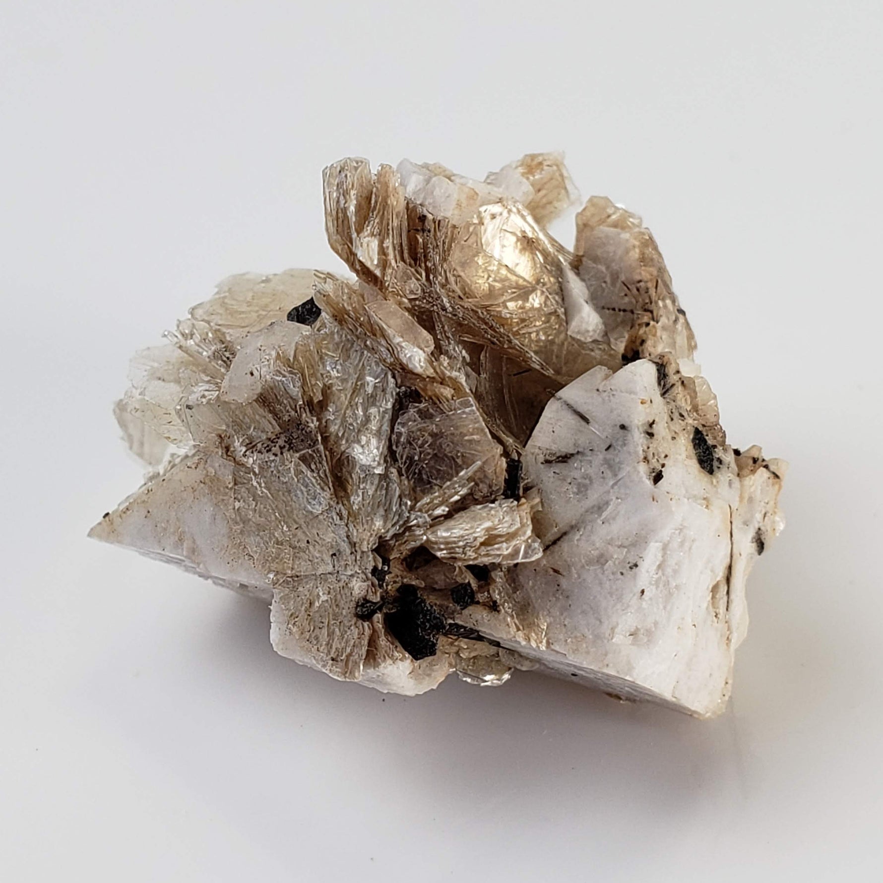  Polylithionite and Aegirine Crystal Cluster | 8.97 grams | Poudrette Quarry, Mont-Saint-Hilaire, Canada 5