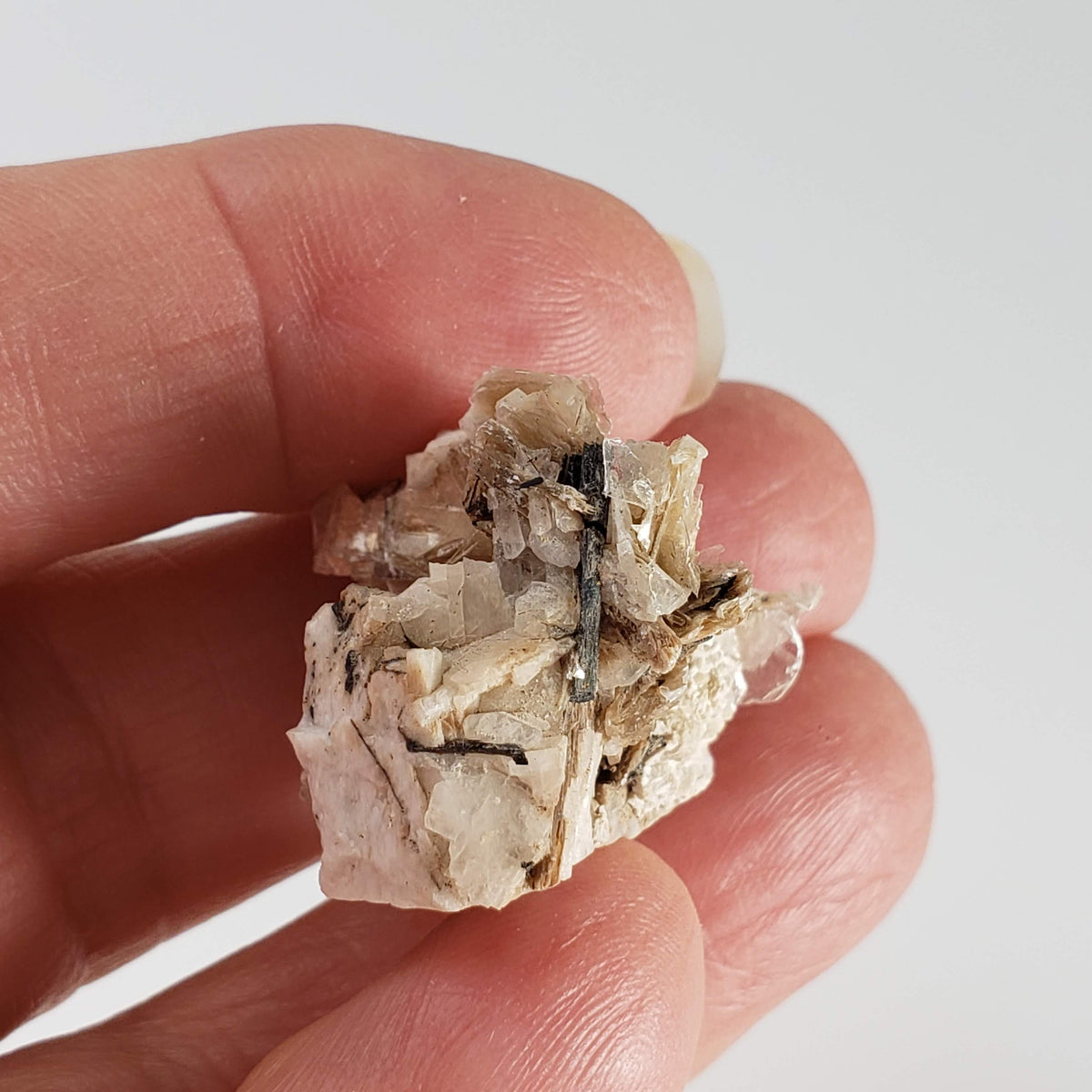  Polylithionite and Aegirine Crystal Cluster | 8.97 grams | Poudrette Quarry, Mont-Saint-Hilaire, Canada 6