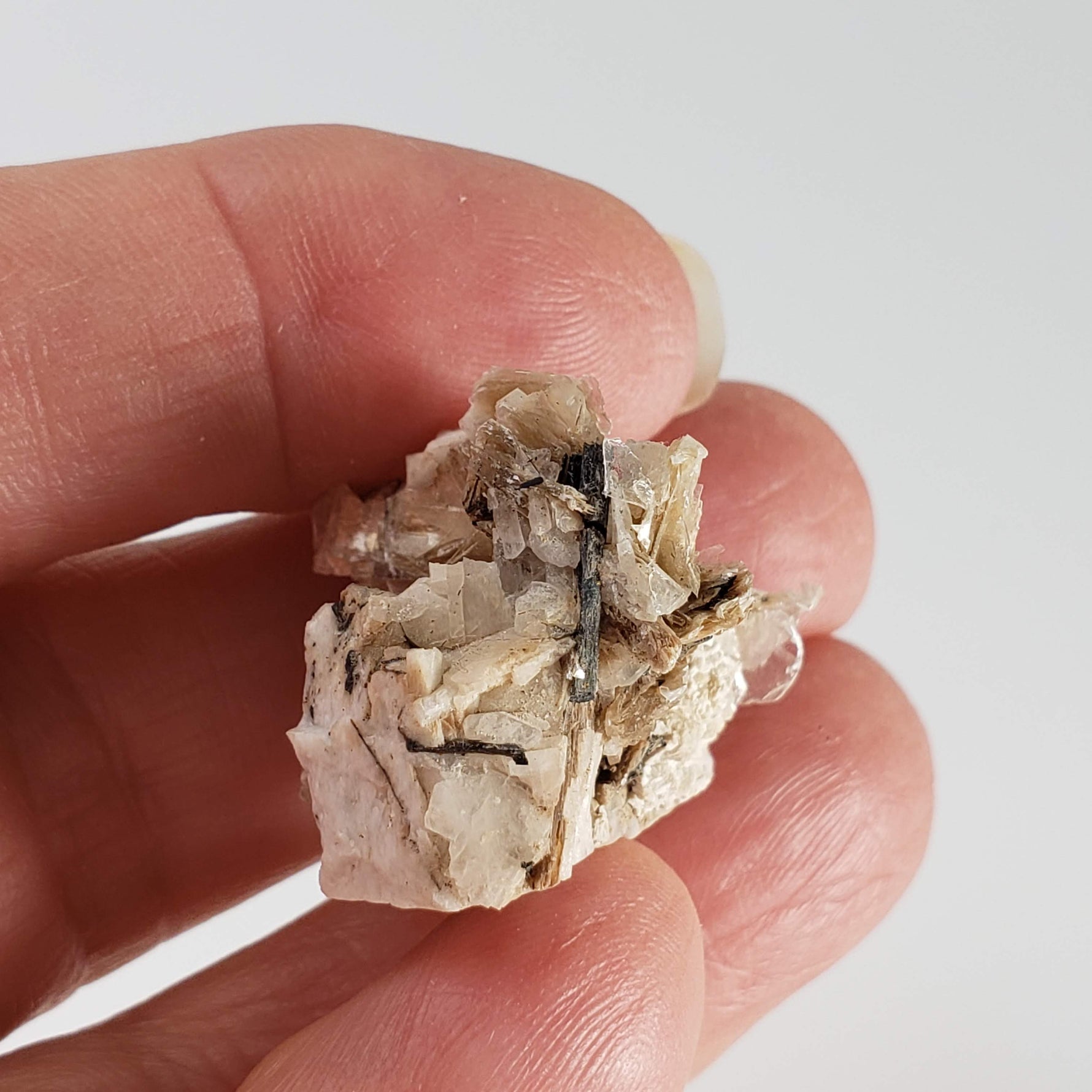  Polylithionite and Aegirine Crystal Cluster | 8.97 grams | Poudrette Quarry, Mont-Saint-Hilaire, Canada 6