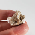  Polylithionite and Aegirine Crystal Cluster | 8.97 grams | Poudrette Quarry, Mont-Saint-Hilaire, Canada 7