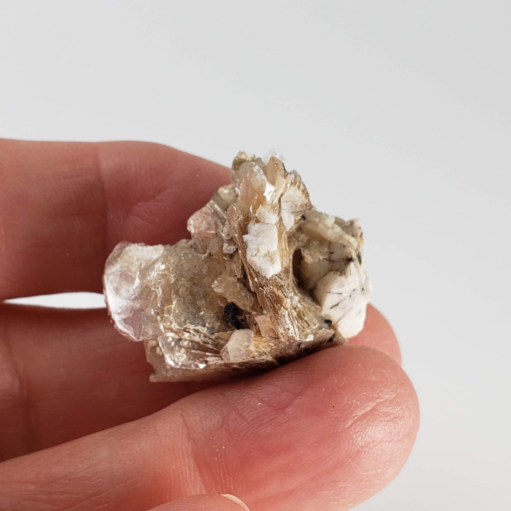  Polylithionite and Aegirine Crystal Cluster | 8.97 grams | Poudrette Quarry, Mont-Saint-Hilaire, Canada 7