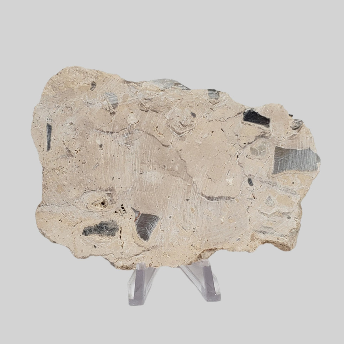  Polymict Impact Breccia | 163 Grams | Azuara Impact Structure, Spain 