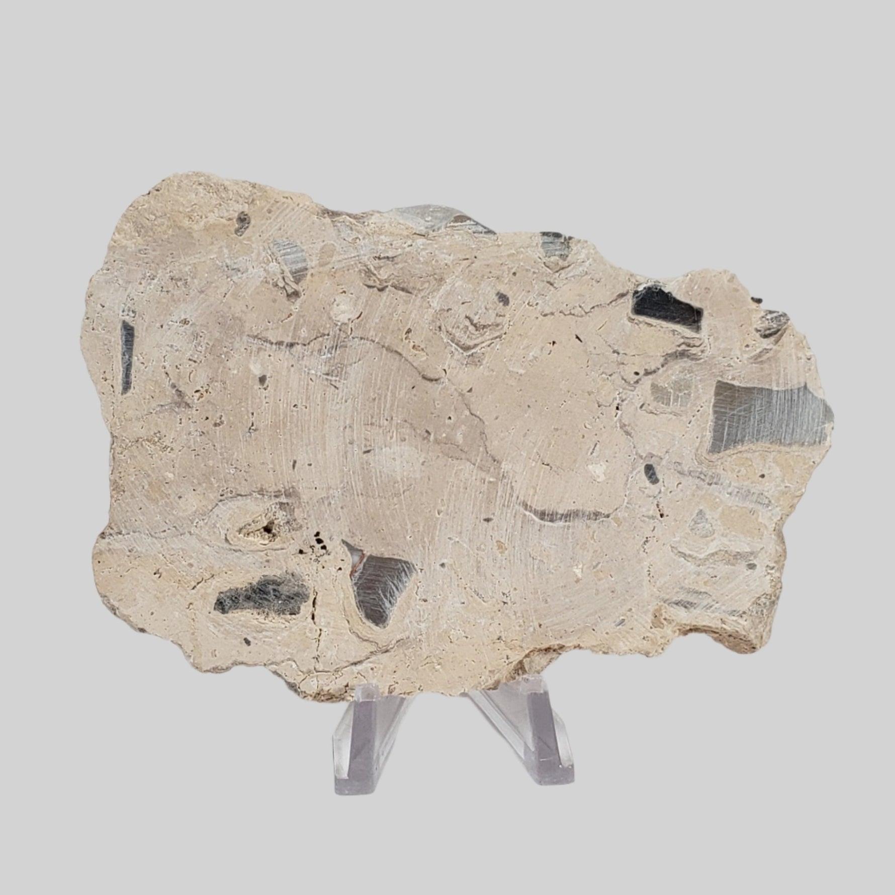  Polymict Impact Breccia | 163 Grams | Azuara Impact Structure, Spain 