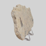  Polymict Impact Breccia | 163 Grams | Azuara Impact Structure, Spain 2