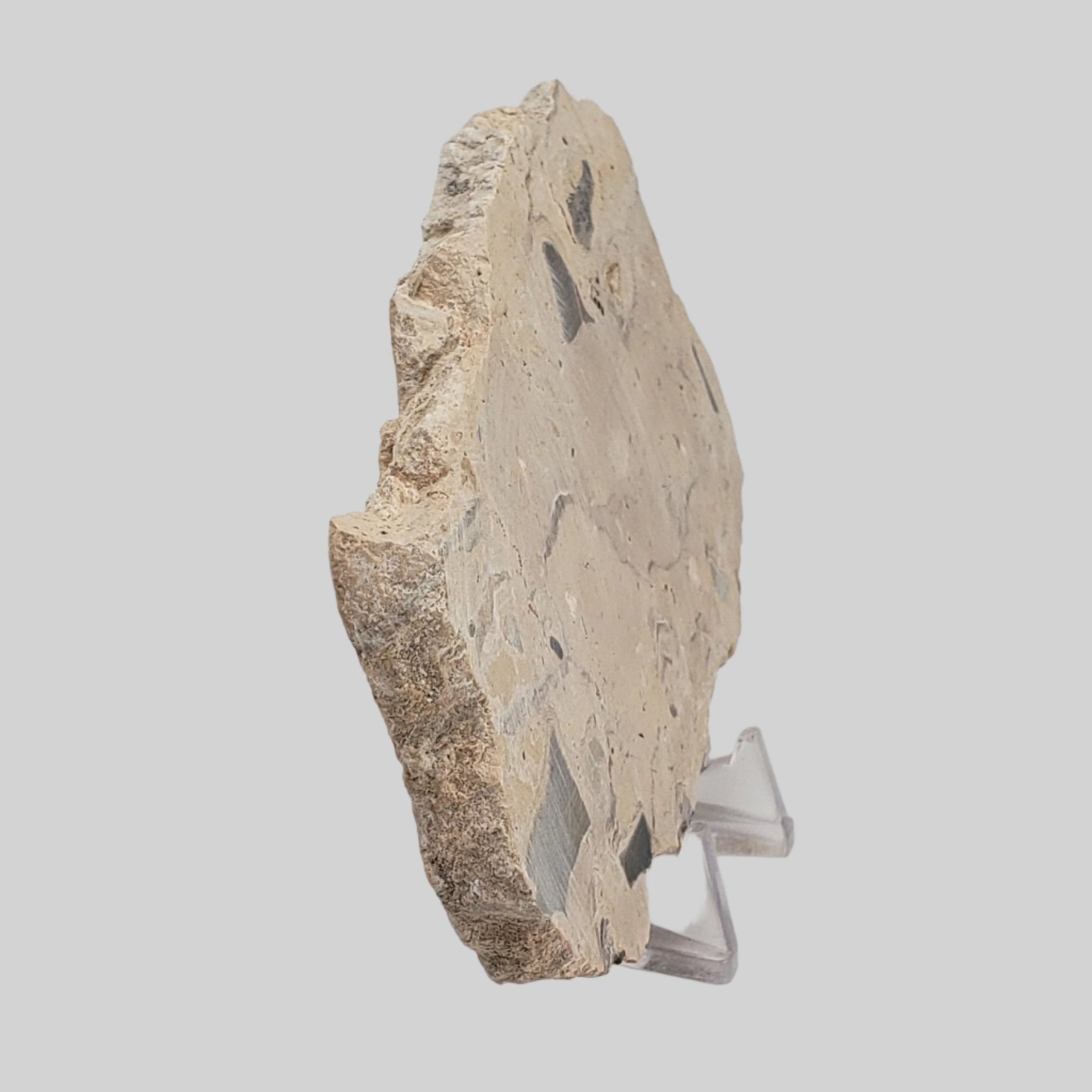  Polymict Impact Breccia | 163 Grams | Azuara Impact Structure, Spain 3