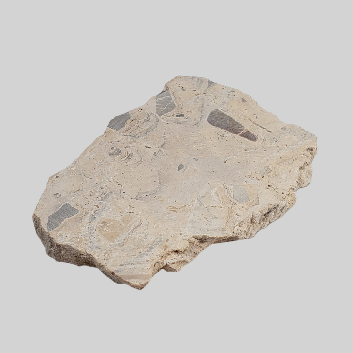  Polymict Impact Breccia | 163 Grams | Azuara Impact Structure, Spain 5