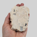  Polymict Impact Breccia | 163 Grams | Azuara Impact Structure, Spain 6