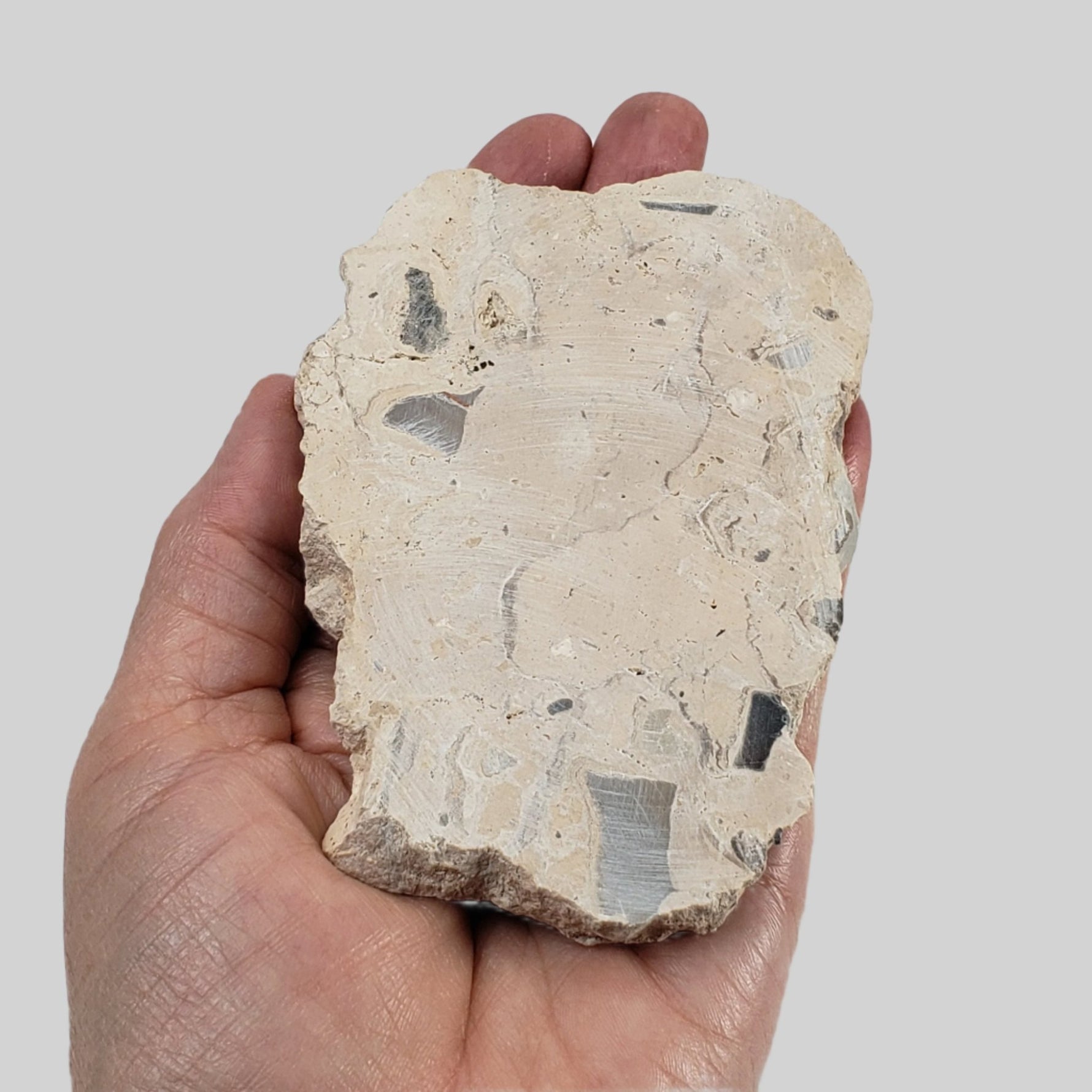  Polymict Impact Breccia | 163 Grams | Azuara Impact Structure, Spain 6