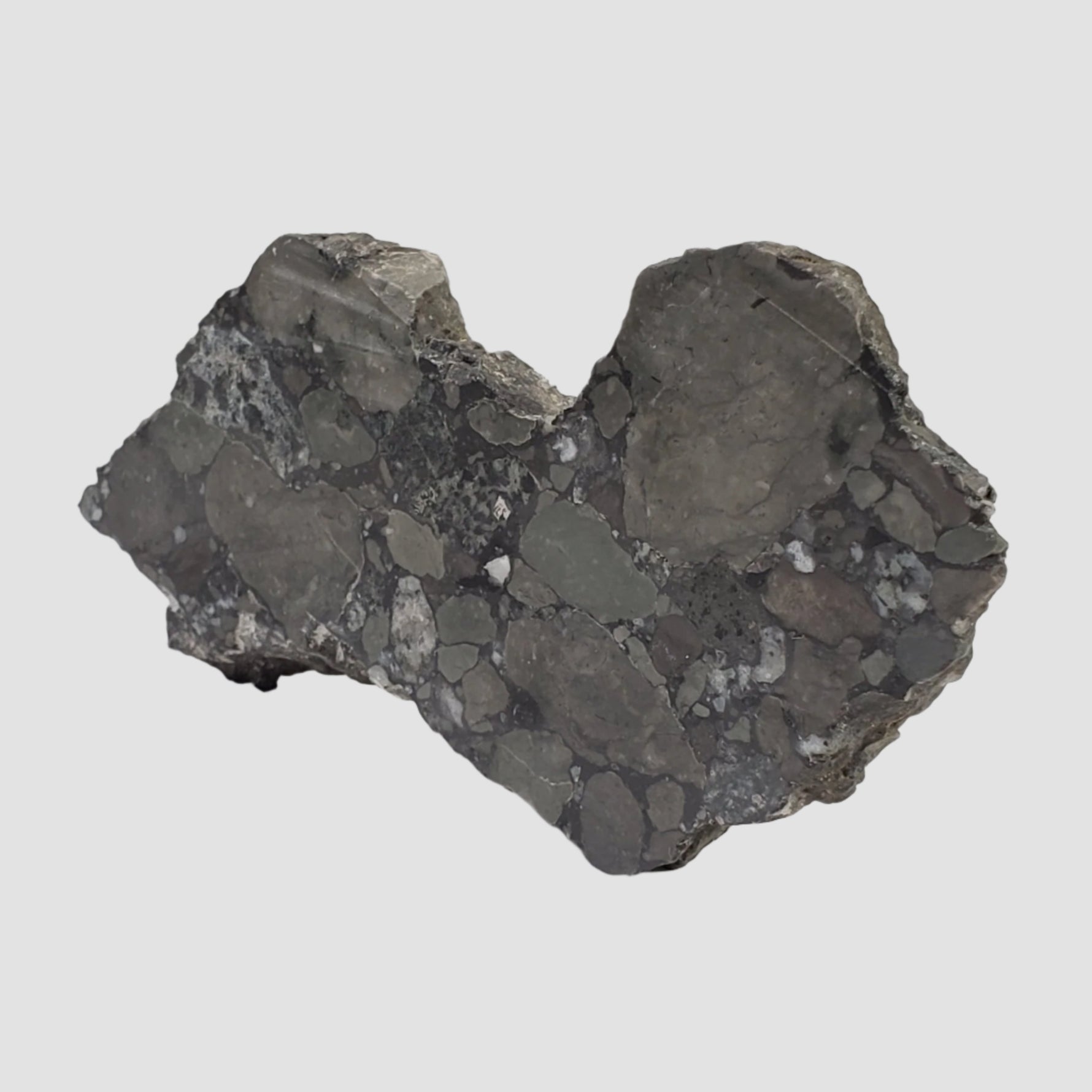  Polymict Impact Breccia | 209 grams | Lockne Impact Structure, Sweden 3