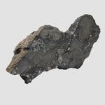  Polymict Impact Breccia | 209 grams | Lockne Impact Structure, Sweden 4