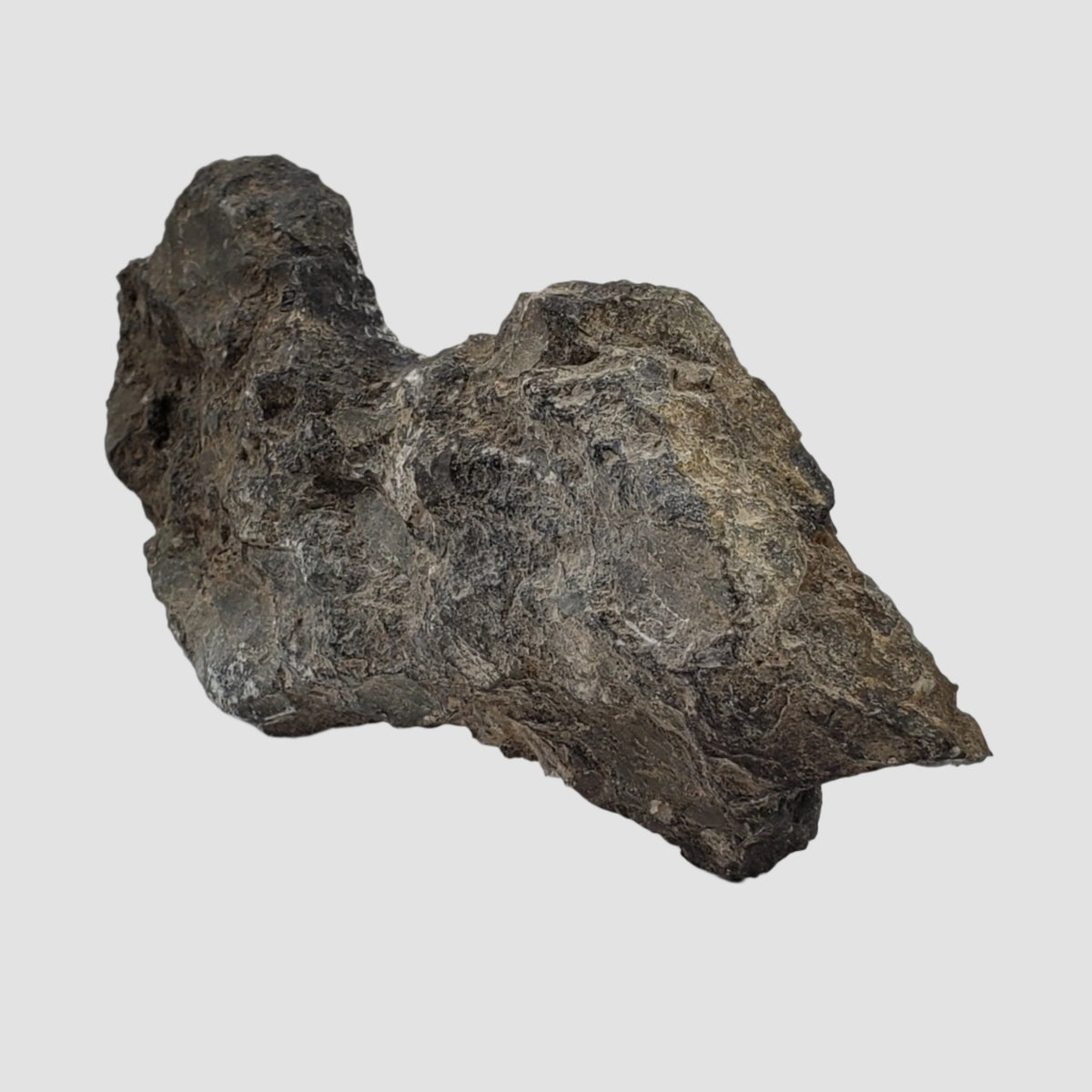  Polymict Impact Breccia | 209 grams | Lockne Impact Structure, Sweden 6