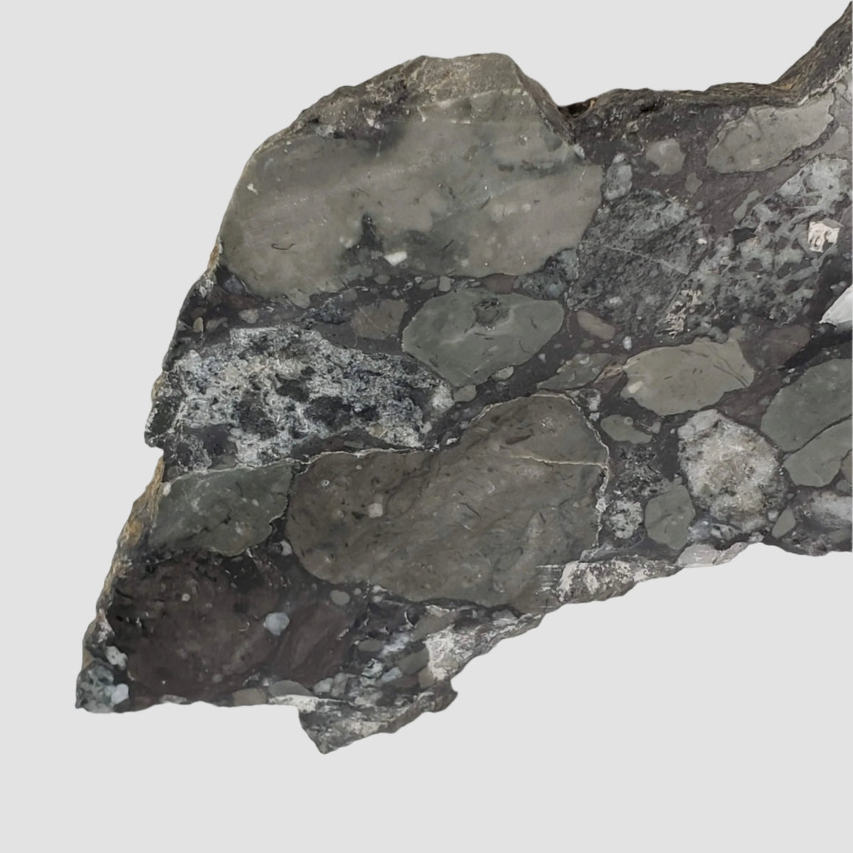  Polymict Impact Breccia | 209 grams | Lockne Impact Structure, Sweden 7