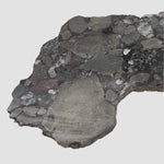  Polymict Impact Breccia | 209 grams | Lockne Impact Structure, Sweden 8