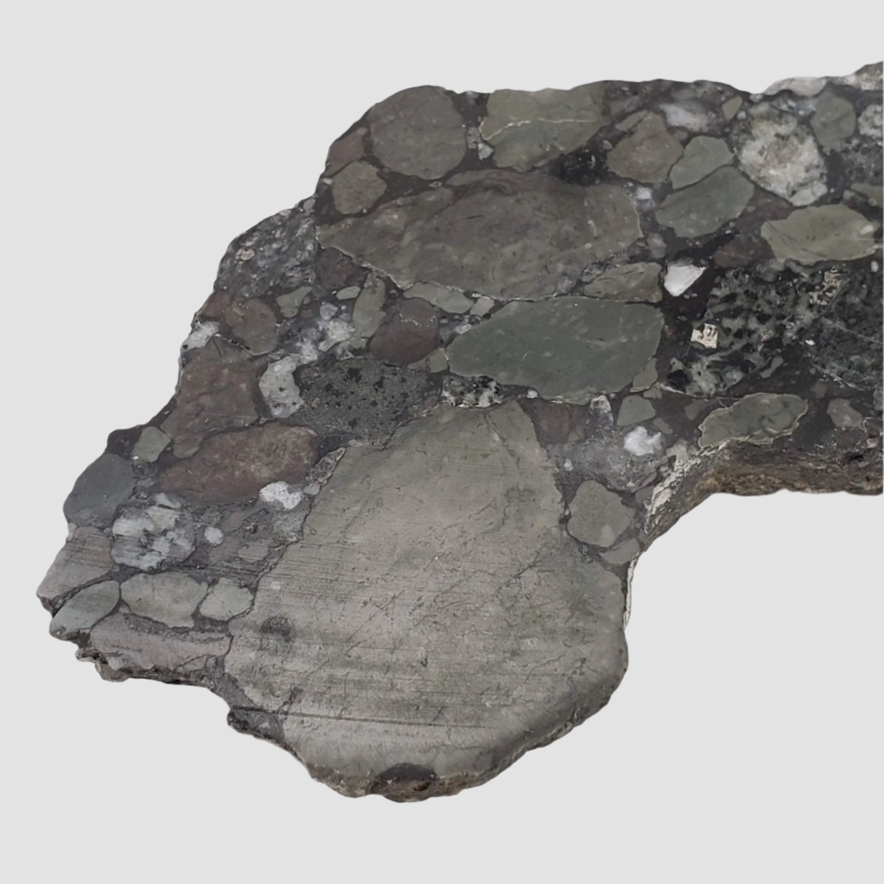  Polymict Impact Breccia | 209 grams | Lockne Impact Structure, Sweden 8