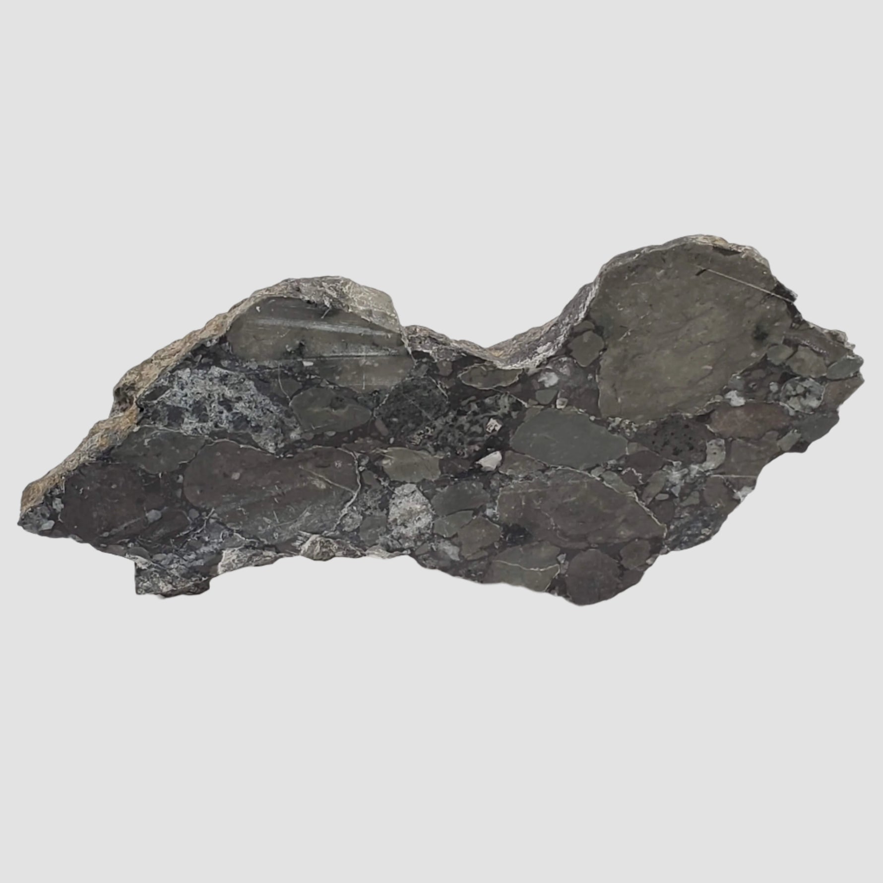  Polymict Impact Breccia | 209 grams | Lockne Impact Structure, Sweden 2
