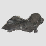  Polymict Impact Breccia | 209 grams | Lockne Impact Structure, Sweden 