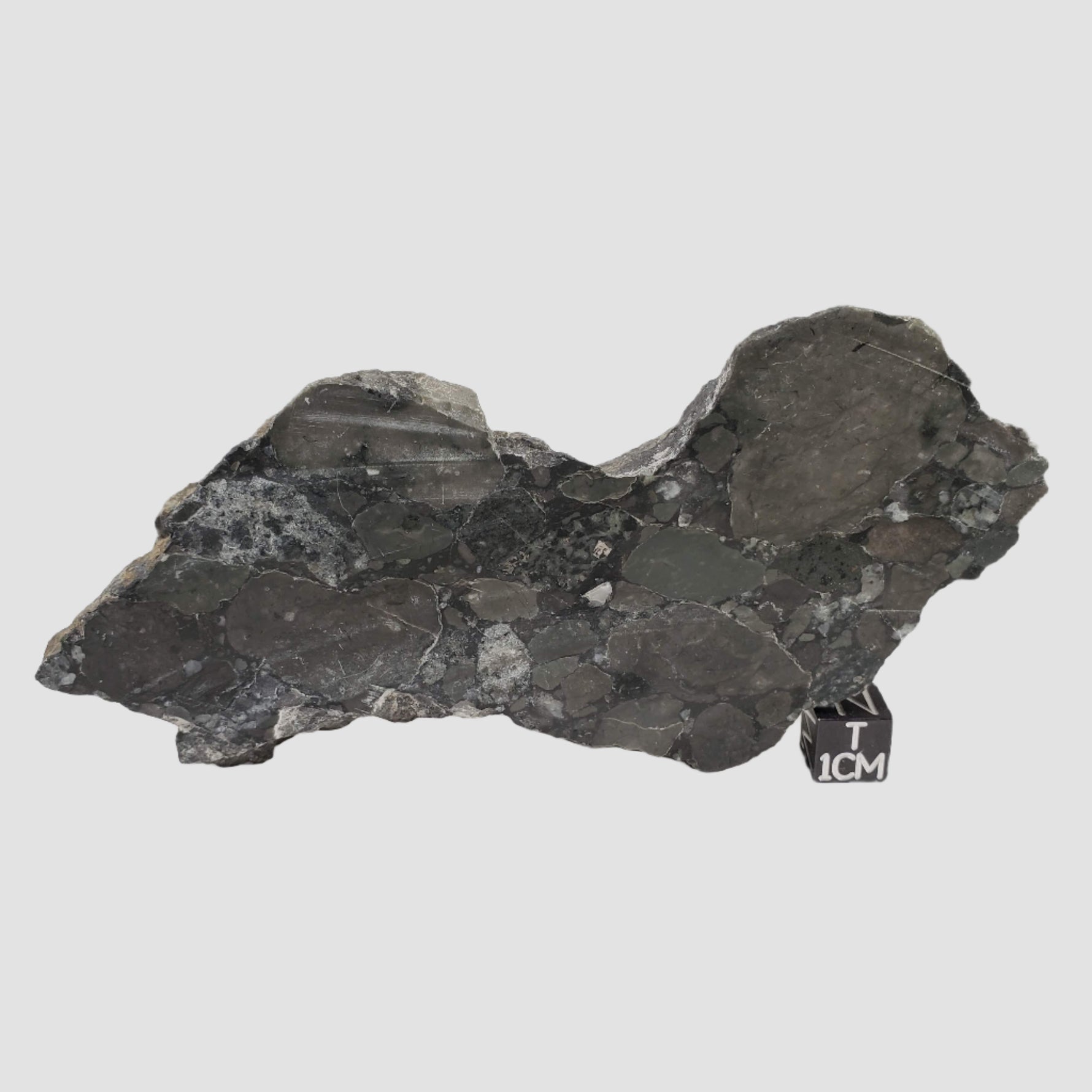  Polymict Impact Breccia | 209 grams | Lockne Impact Structure, Sweden 