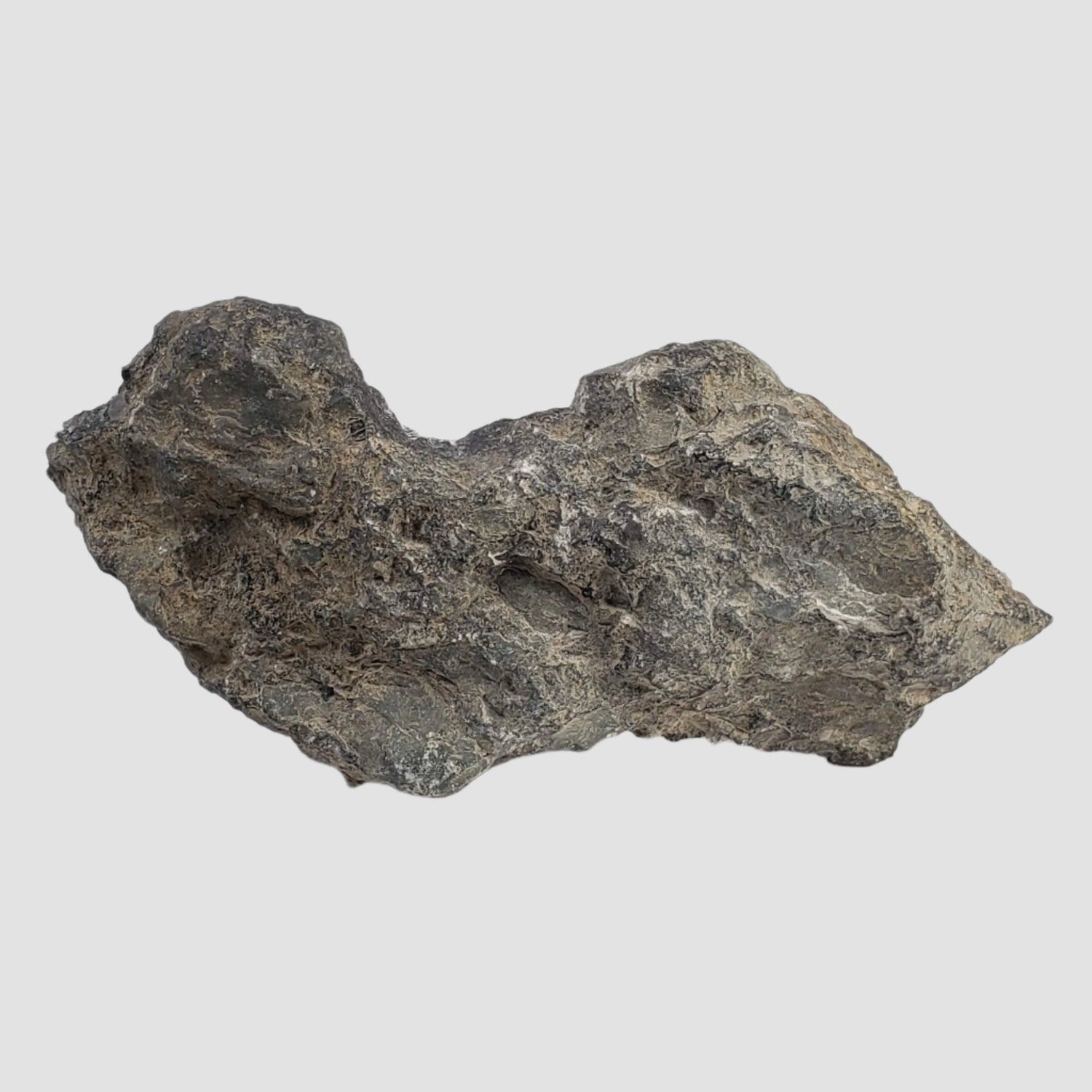  Polymict Impact Breccia | 209 grams | Lockne Impact Structure, Sweden 1