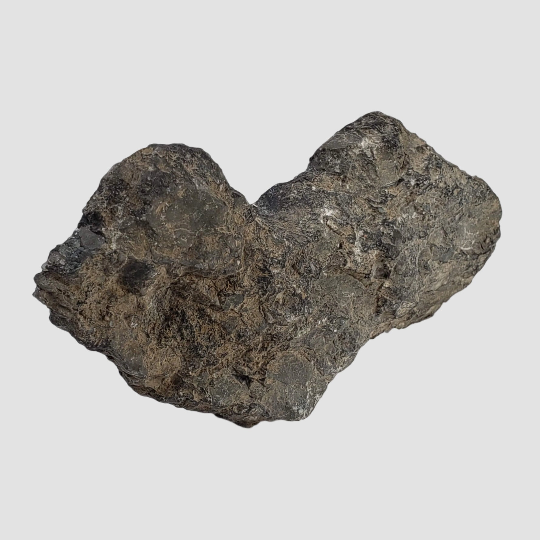  Polymict Impact Breccia | 209 grams | Lockne Impact Structure, Sweden 5