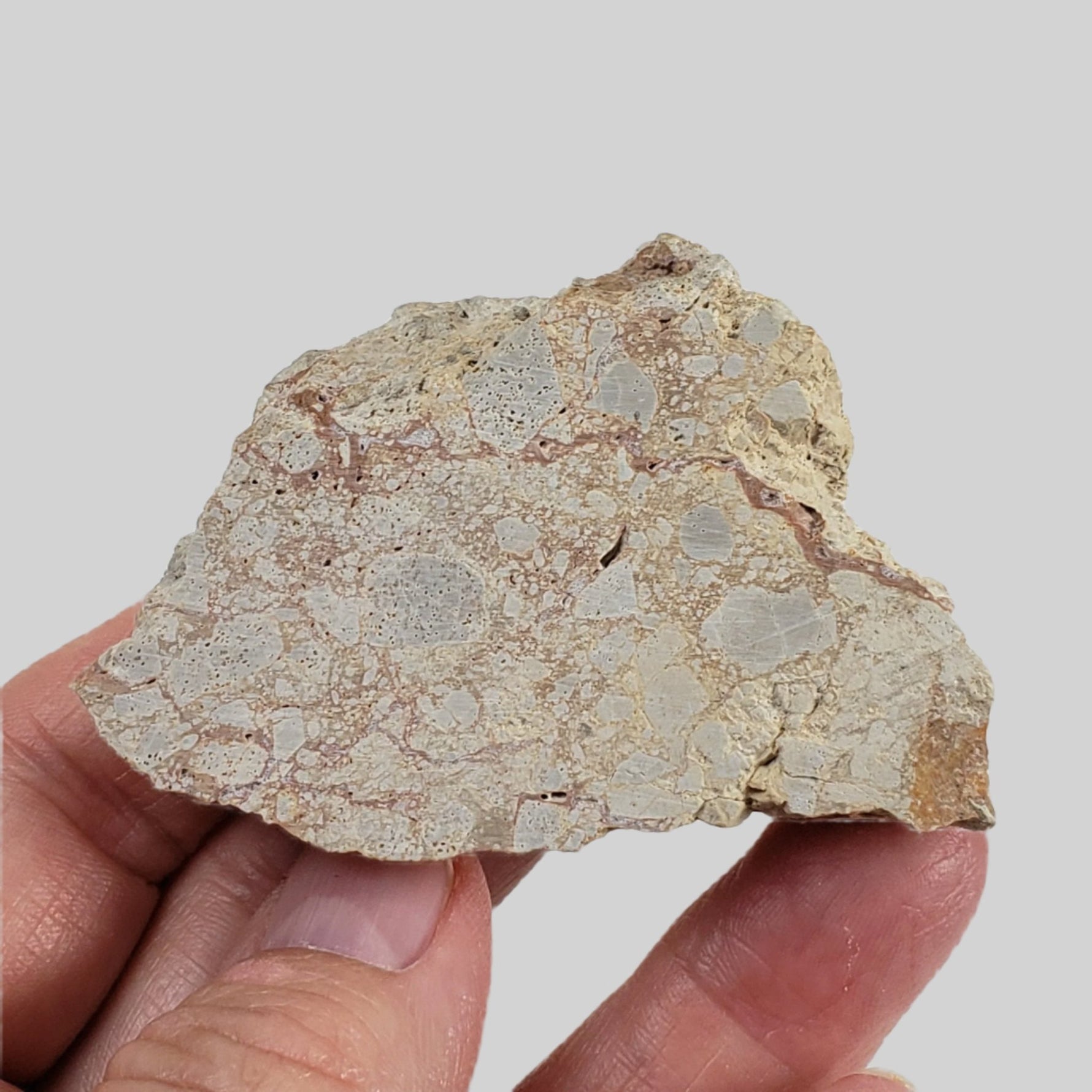  Polymict Impact Breccia | 53 Grams | Azuara Impact Structure, Spain 