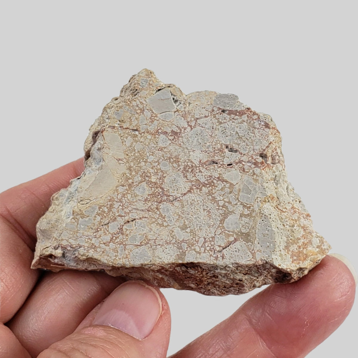  Polymict Impact Breccia | 53 Grams | Azuara Impact Structure, Spain 1