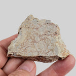  Polymict Impact Breccia | 53 Grams | Azuara Impact Structure, Spain 1