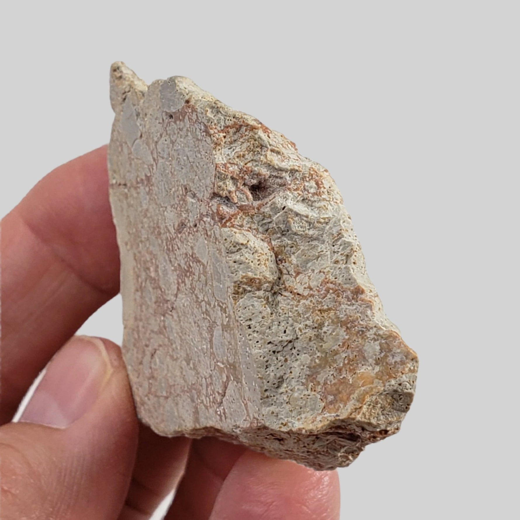  Polymict Impact Breccia | 53 Grams | Azuara Impact Structure, Spain 2