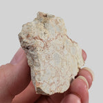  Polymict Impact Breccia | 53 Grams | Azuara Impact Structure, Spain 3