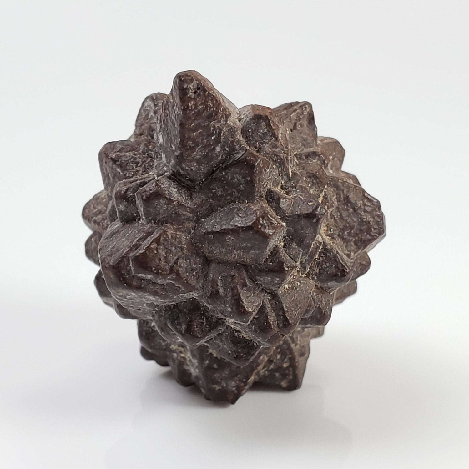  Pseudomorph Goethite After Marcasite | Prophecy Stone | 17 gr | Farafra Oasis, Egypt 1