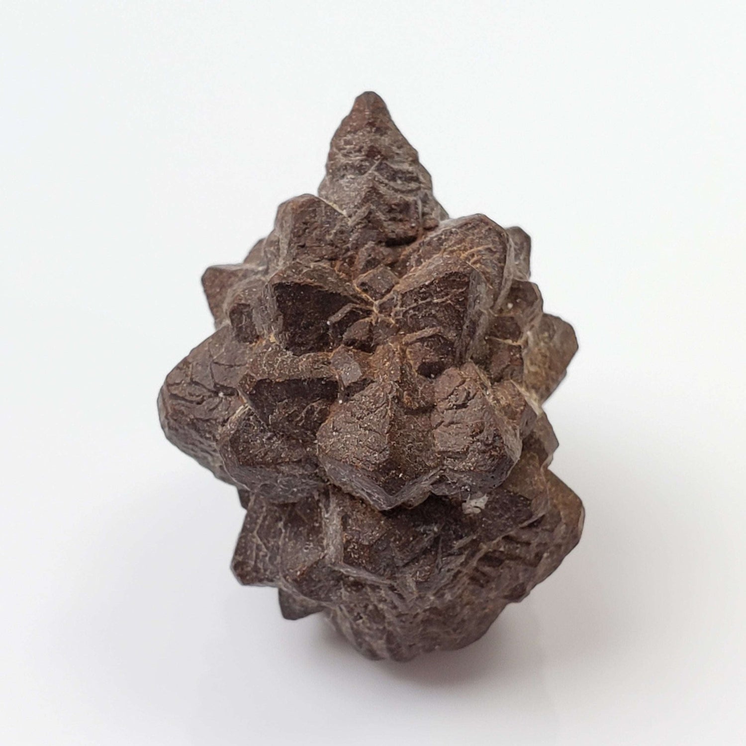  Pseudomorph Goethite After Marcasite | Prophecy Stone | 17 gr | Farafra Oasis, Egypt 3