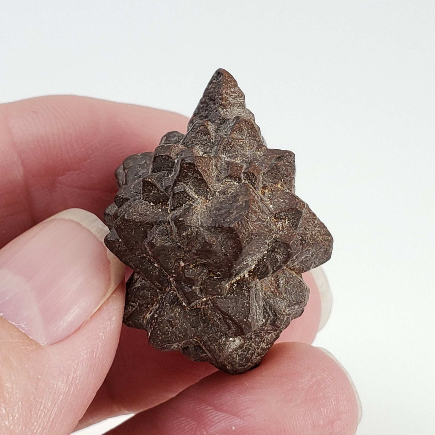  Pseudomorph Goethite After Marcasite | Prophecy Stone | 17 gr | Farafra Oasis, Egypt 5