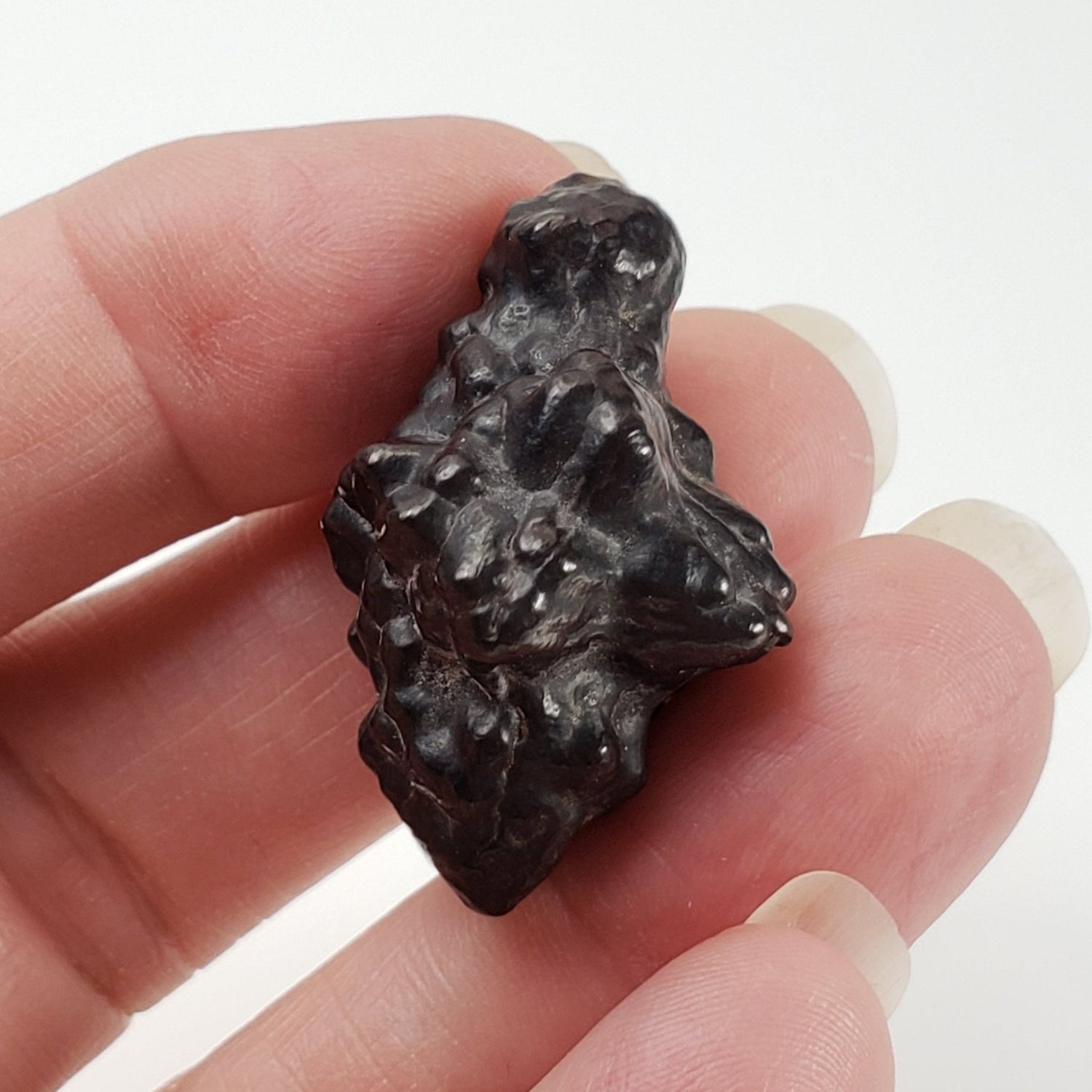  Pseudomorph Goethite After Marcasite | Prophecy Stone | 17 gr | Farafra Oasis, Egypt 6