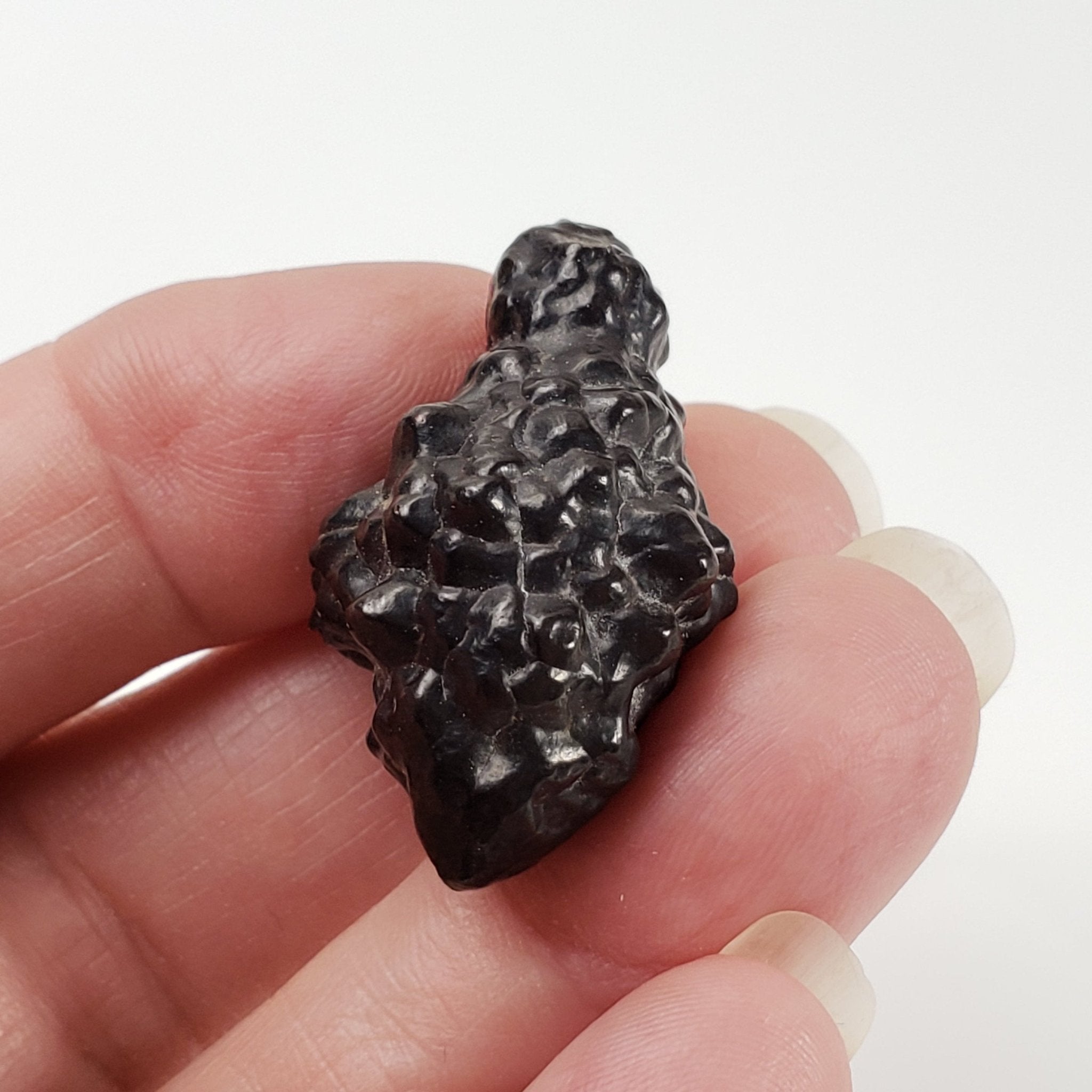  Pseudomorph Goethite After Marcasite | Prophecy Stone | 17 gr | Farafra Oasis, Egypt 7