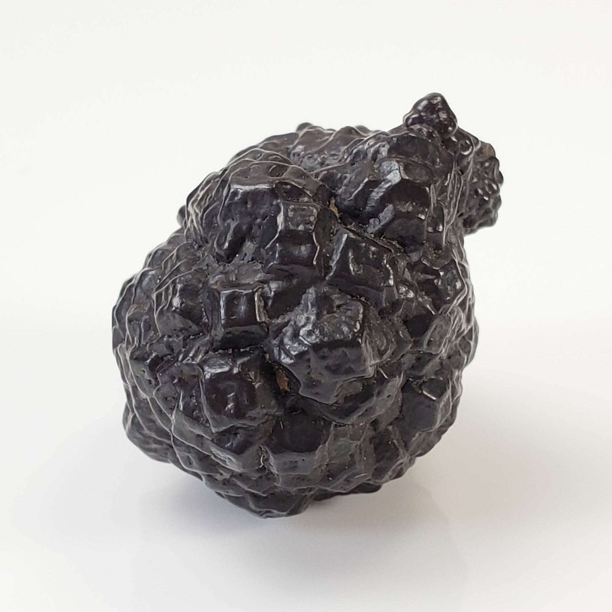  Pseudomorph Goethite After Marcasite | Prophecy Stone | 20.8 gr | Farafra Oasis, Egypt 