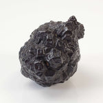  Pseudomorph Goethite After Marcasite | Prophecy Stone | 20.8 gr | Farafra Oasis, Egypt 