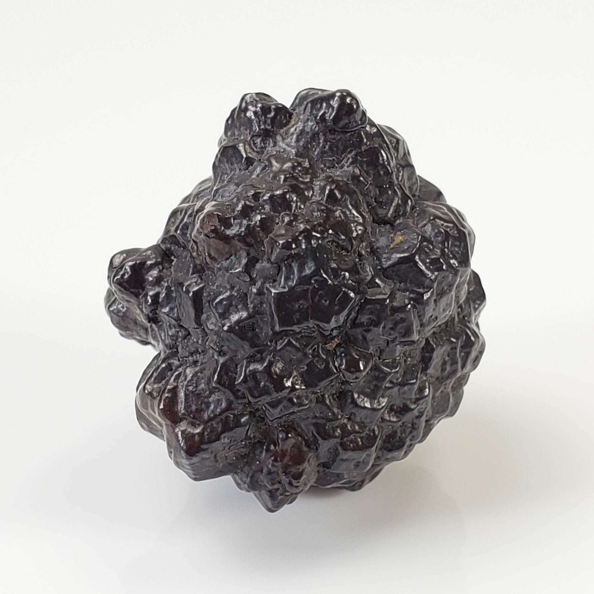  Pseudomorph Goethite After Marcasite | Prophecy Stone | 20.8 gr | Farafra Oasis, Egypt 1