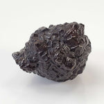  Pseudomorph Goethite After Marcasite | Prophecy Stone | 20.8 gr | Farafra Oasis, Egypt 2