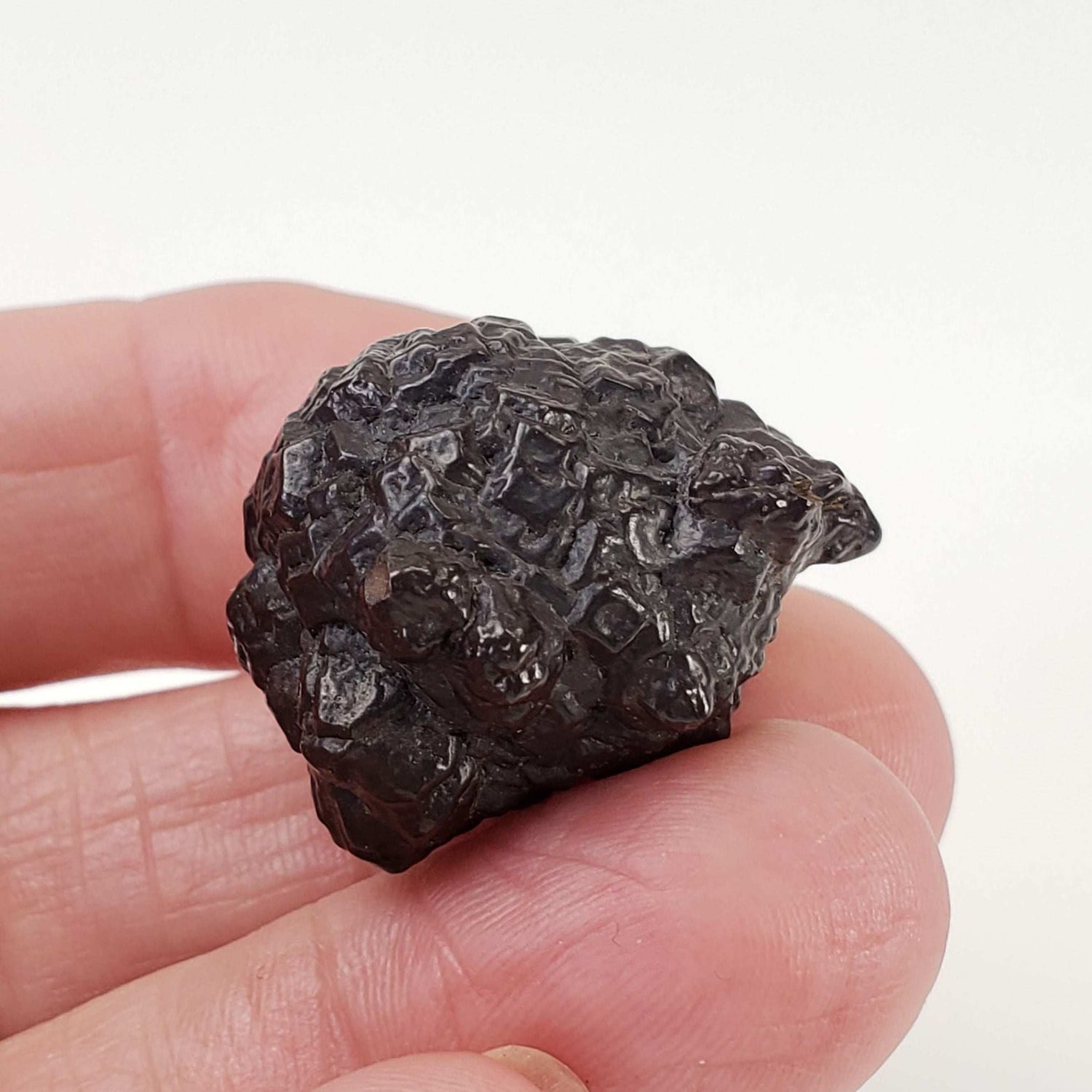  Pseudomorph Goethite After Marcasite | Prophecy Stone | 20.8 gr | Farafra Oasis, Egypt 6