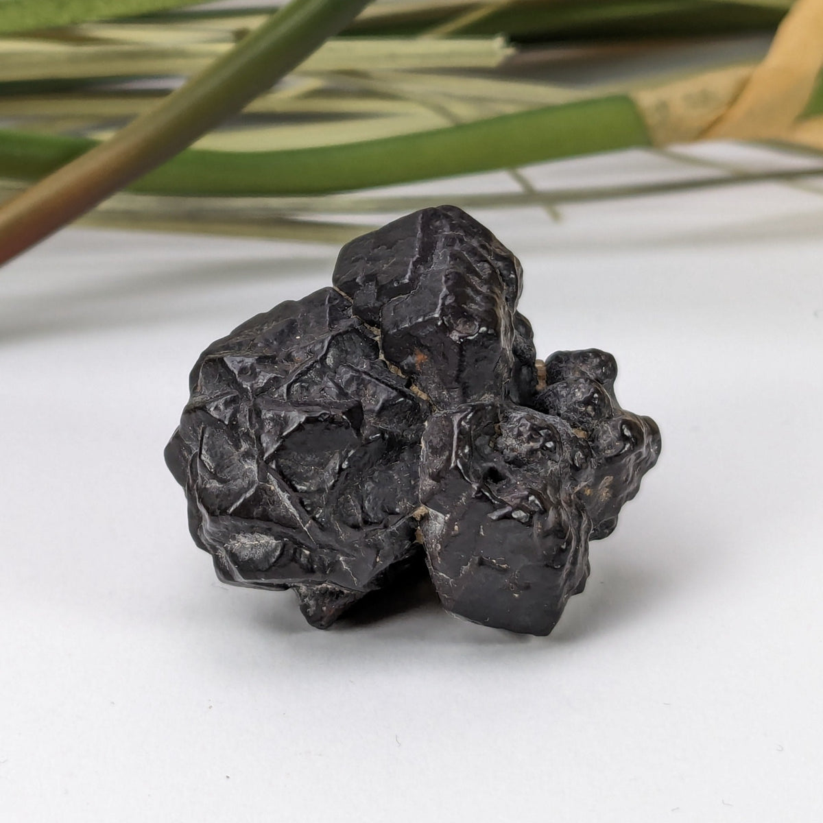  Pseudomorph Goethite After Marcasite | Prophecy Stone | 27 gr | Farafra Oasis, Egypt | SO24 2