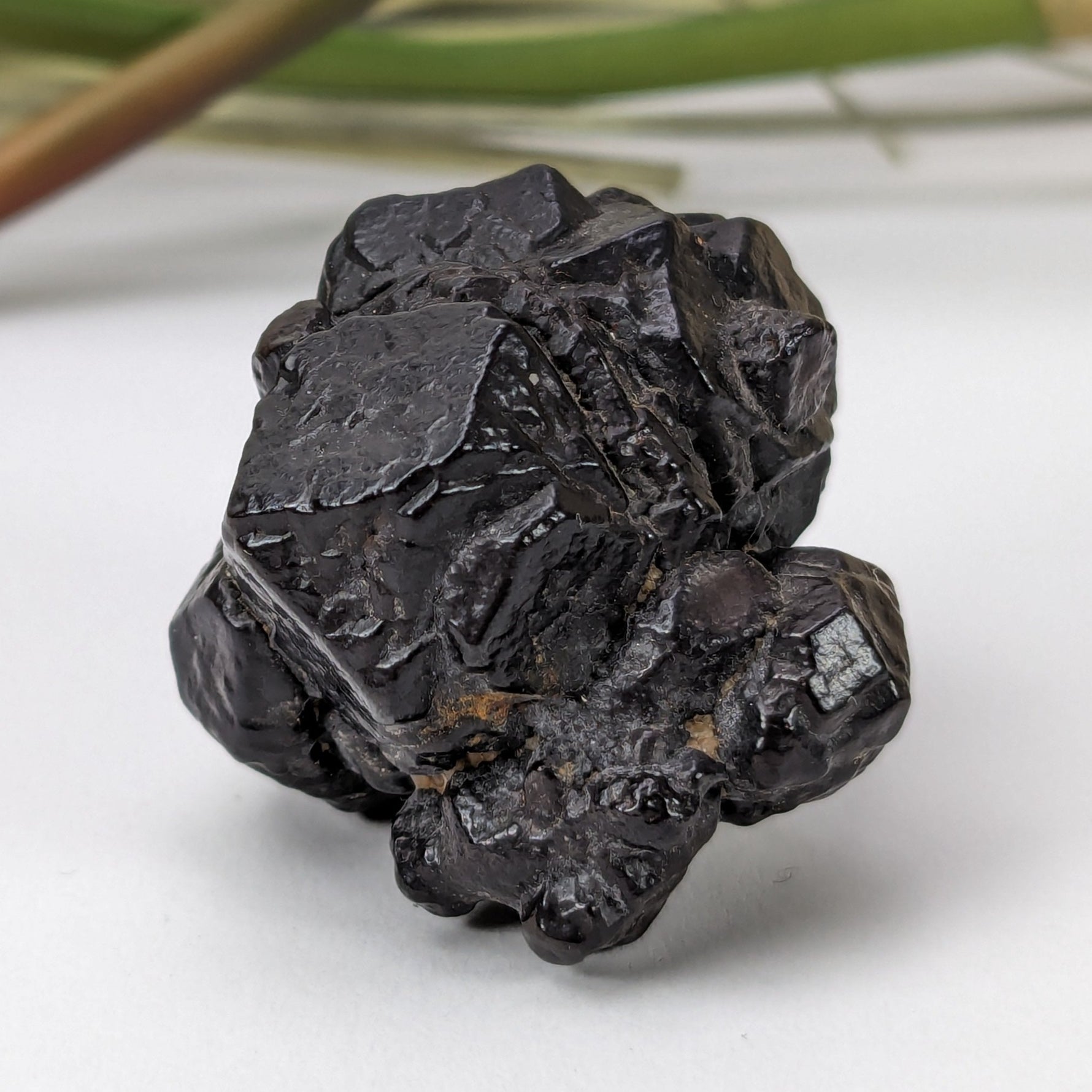  Pseudomorph Goethite After Marcasite | Prophecy Stone | 27 gr | Farafra Oasis, Egypt | SO24 1