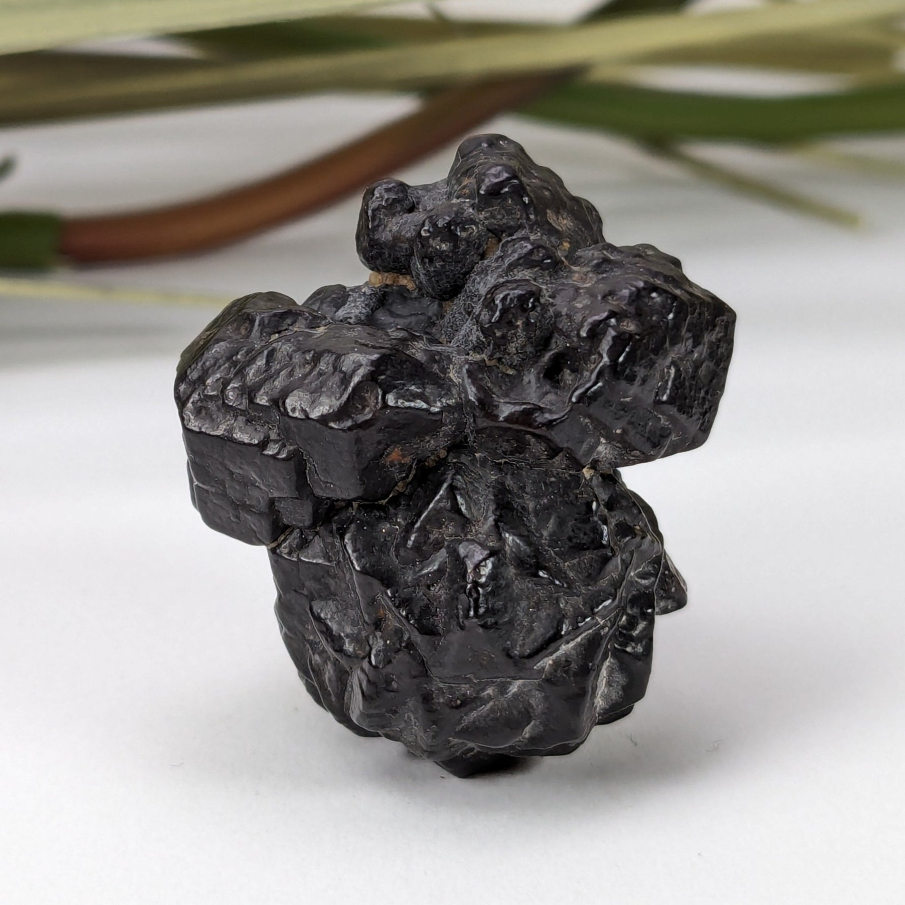  Pseudomorph Goethite After Marcasite | Prophecy Stone | 27 gr | Farafra Oasis, Egypt | SO24 5