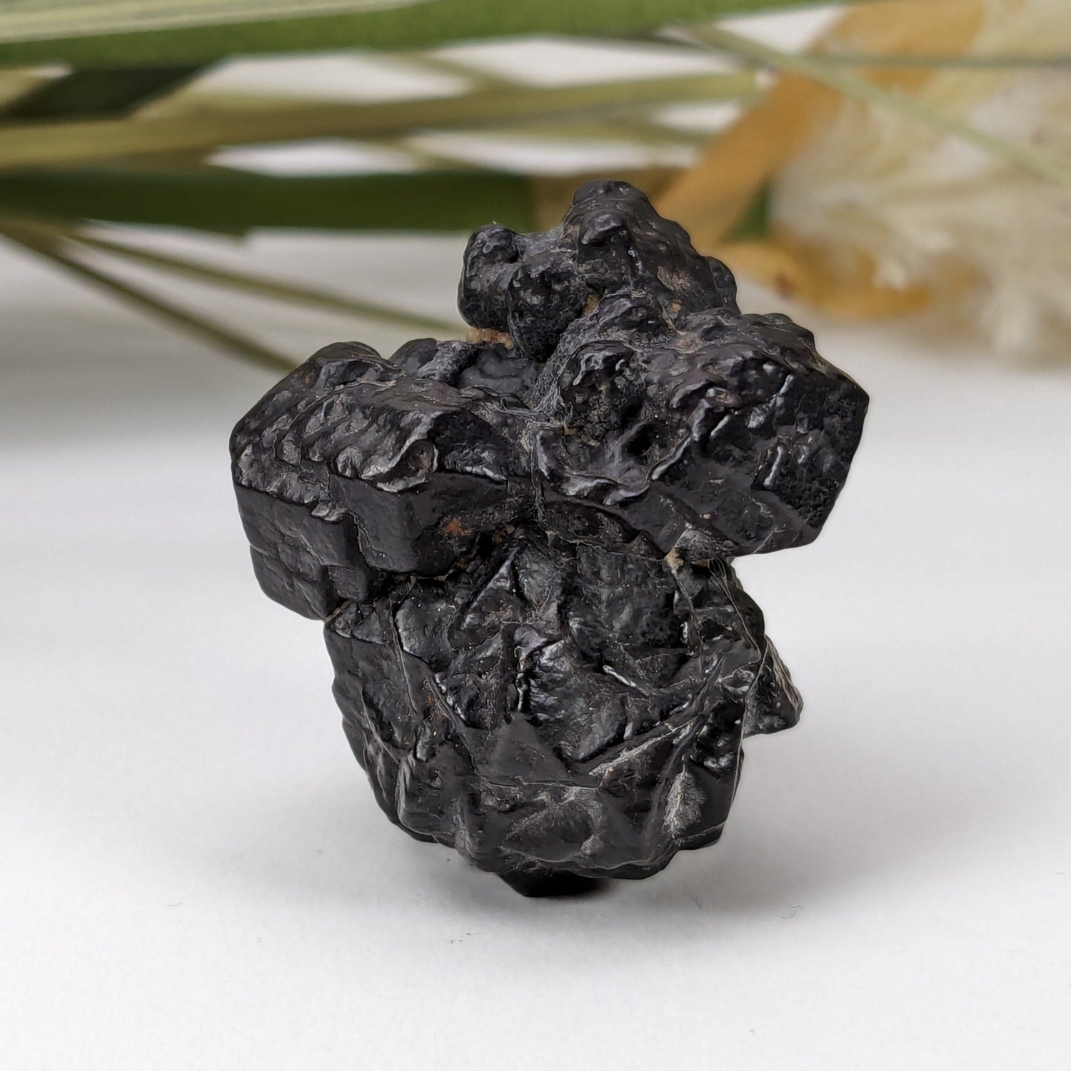  Pseudomorph Goethite After Marcasite | Prophecy Stone | 27 gr | Farafra Oasis, Egypt | SO24 