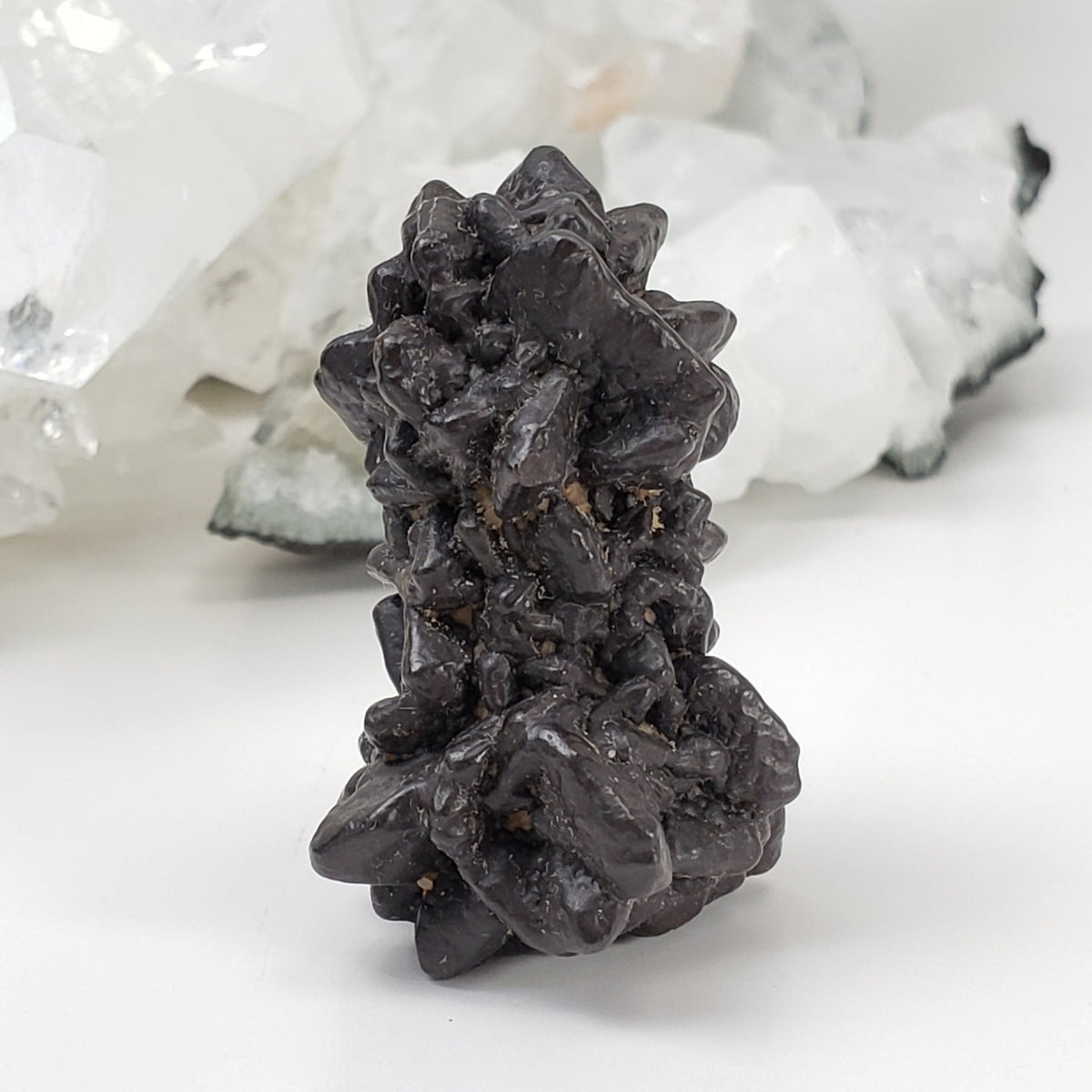  Pseudomorph Goethite After Marcasite | Prophecy Stone | 37.6 gr | Farafra Oasis, Egypt 