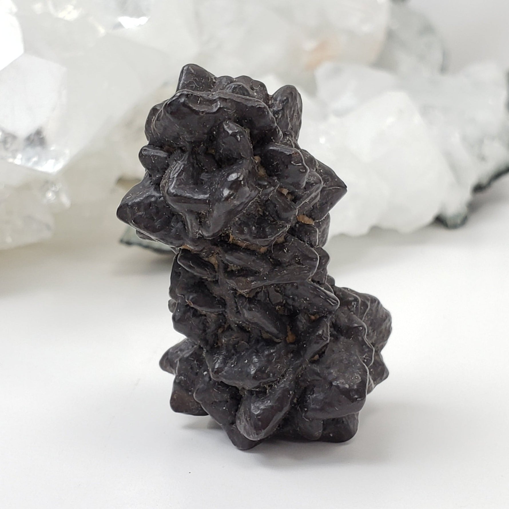  Pseudomorph Goethite After Marcasite | Prophecy Stone | 37.6 gr | Farafra Oasis, Egypt 1