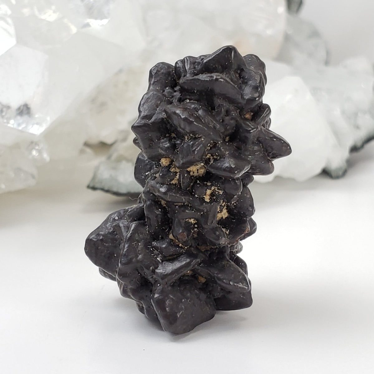  Pseudomorph Goethite After Marcasite | Prophecy Stone | 37.6 gr | Farafra Oasis, Egypt 2
