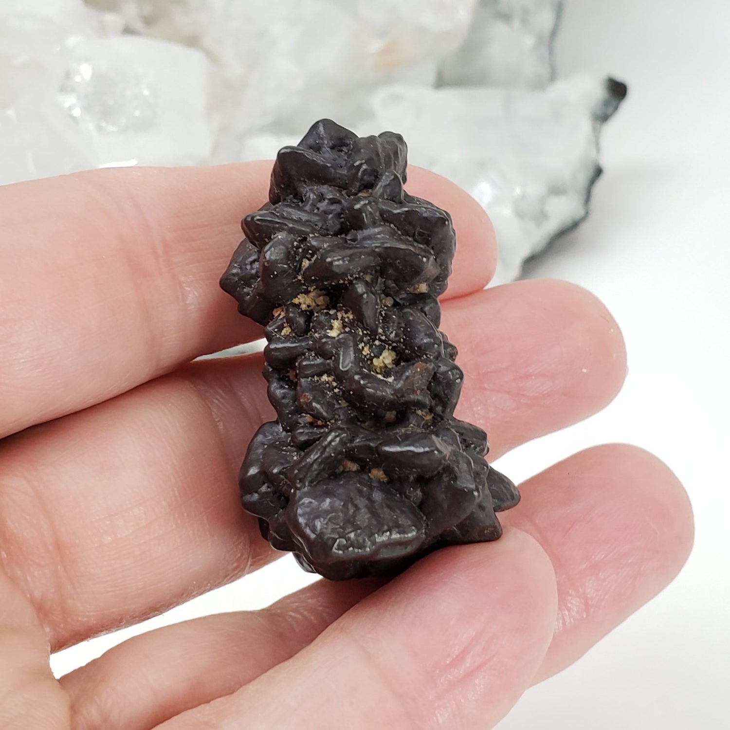  Pseudomorph Goethite After Marcasite | Prophecy Stone | 37.6 gr | Farafra Oasis, Egypt 4